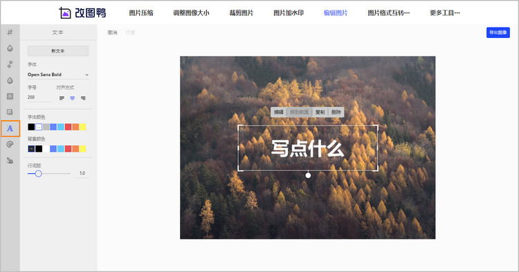 给图片加字步骤1