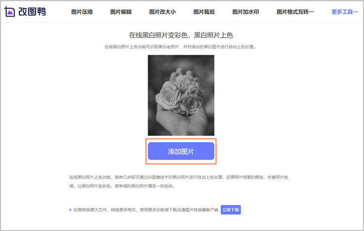 黑白照片上色步骤1