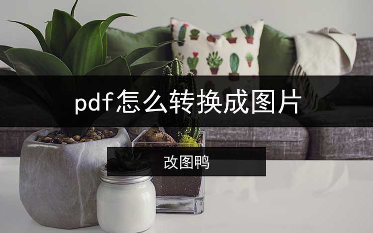 pdf怎么转换成图片