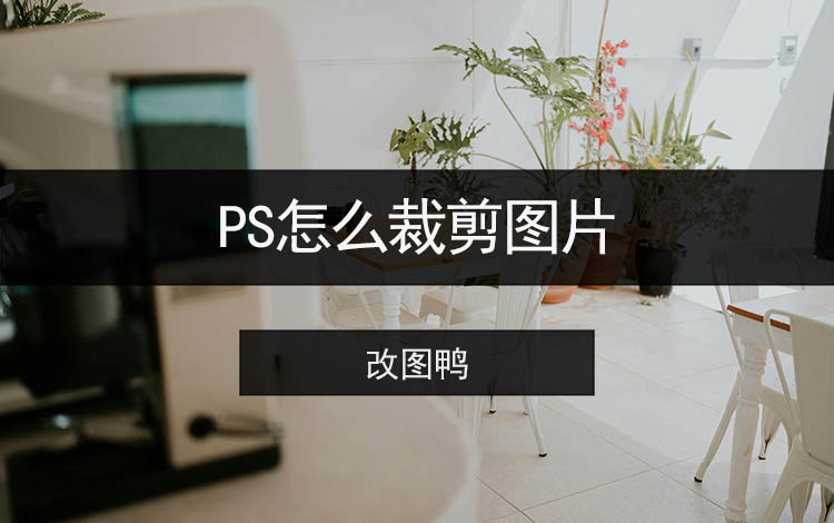 PS怎么裁剪图片