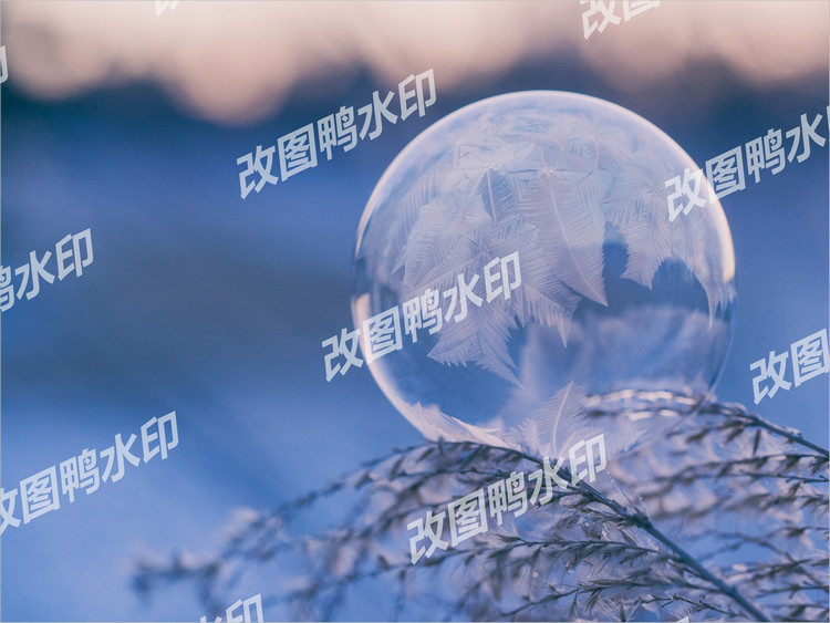 给照片添加满屏水印效果图